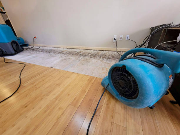Professional Flood Damage Cleanup technician working in Cayucos, CA